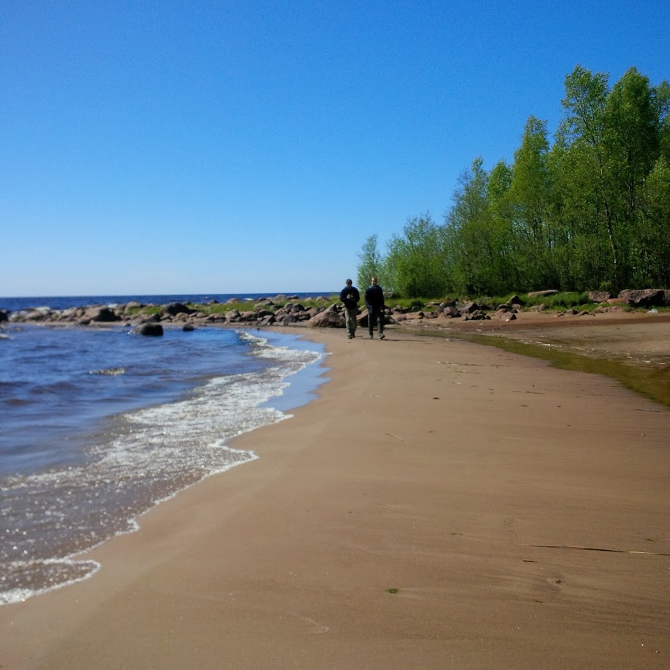 А вот и полуночные богатыри :)
